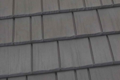beech