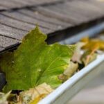 Essential Fall Home Maintenance